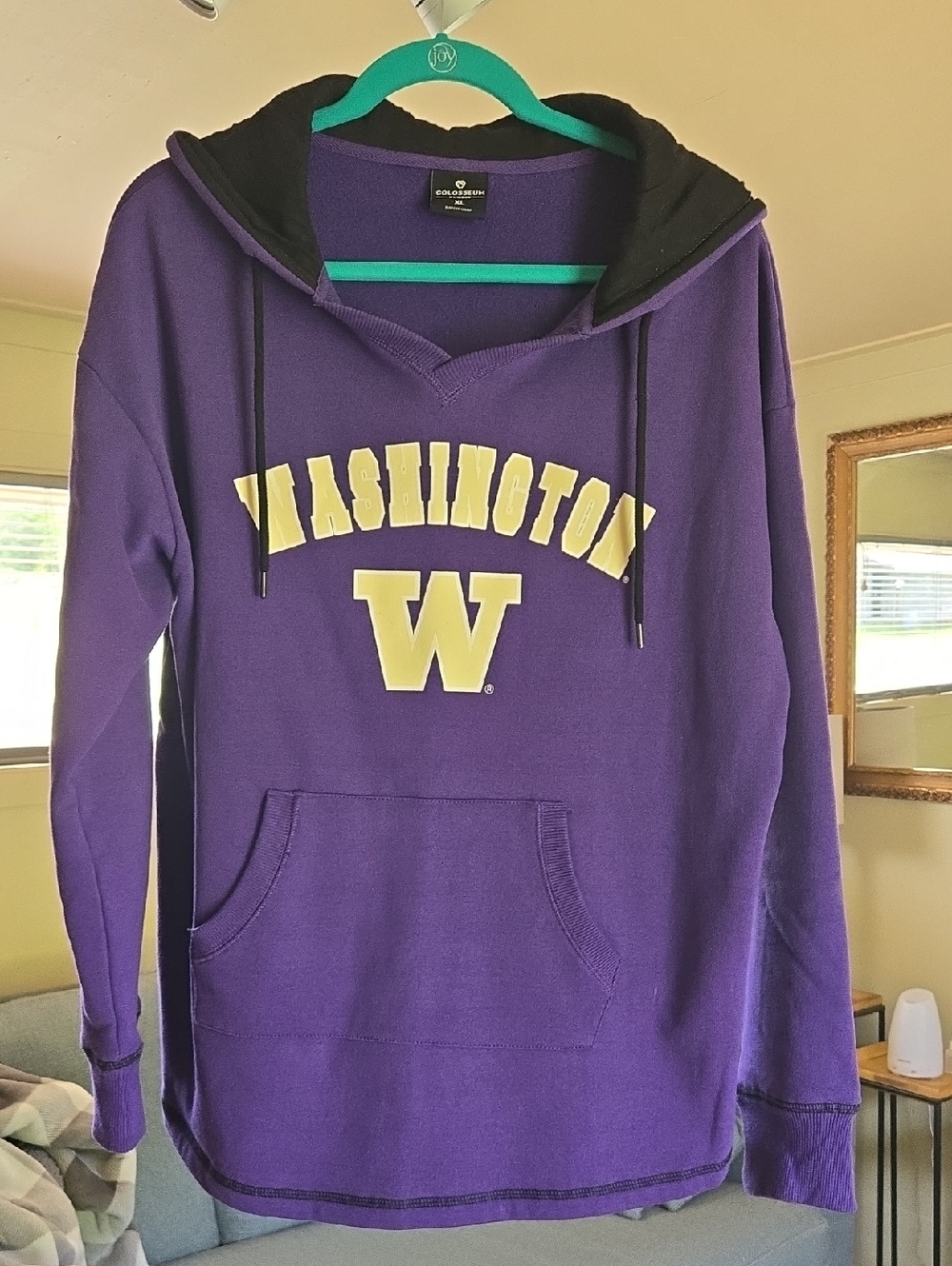Colosseum Purple Washington 'W' Hooded Pullover Sweatshirt
